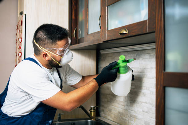 Best Pest Control Near Me in Hayden, ID