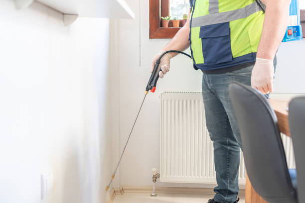 Trusted Hayden, ID Pest Control Experts